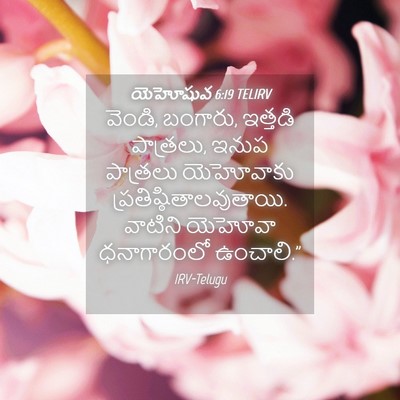 Picture 04 - యెహోషువ 6:19 TELIRV - వెండి, బంగారు, - Bible Verse Picture