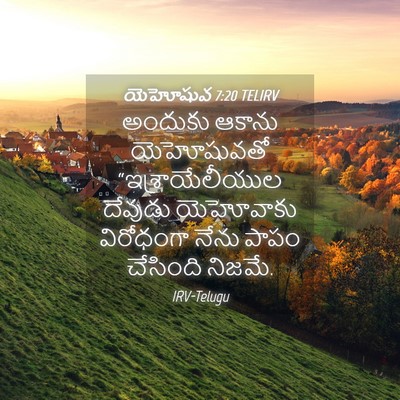Picture 04 - యెహోషువ 7:20 TELIRV - అందుకు ఆకాను - Bible Verse Picture