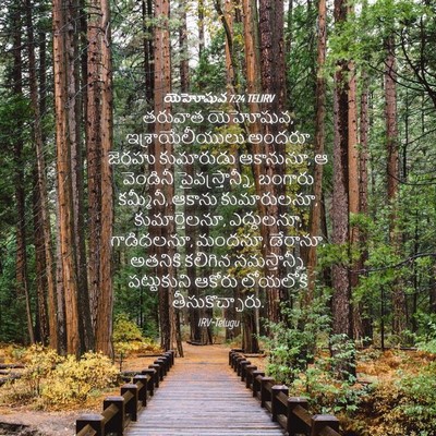 Picture 04 - యెహోషువ 7:24 TELIRV - తరువాత యెహోషువ, - Bible Verse Picture