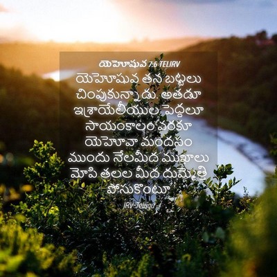 Picture 04 - యెహోషువ 7:6 TELIRV - యెహోషువ తన బట్టలు - Bible Verse Picture