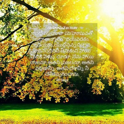 Picture 04 - యెహోషువ 8:1 TELIRV - కాబట్టి యెహోవా - Bible Verse Picture
