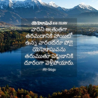 Picture 04 - యెహోషువ 8:16 TELIRV - వారిని ఆత్రుతగా - Bible Verse Picture