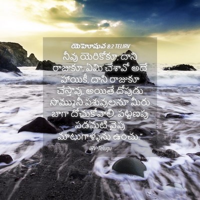 Picture 04 - యెహోషువ 8:2 TELIRV - నీవు యెరికోకూ, - Bible Verse Picture