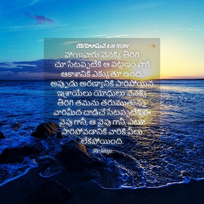 Picture 04 - యెహోషువ 8:20 TELIRV - హాయివారు వెనక్కి - Bible Verse Picture