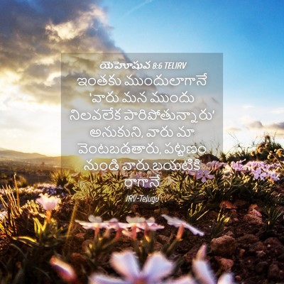Picture 04 - యెహోషువ 8:6 TELIRV - ఇంతకు ముందులాగానే - Bible Verse Picture