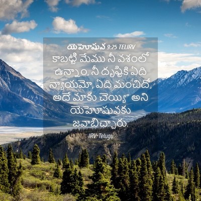 Picture 04 - యెహోషువ 9:25 TELIRV - కాబట్టి మేము నీ - Bible Verse Picture