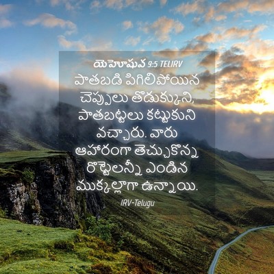 Picture 04 - యెహోషువ 9:5 TELIRV - పాతబడి - Bible Verse Picture