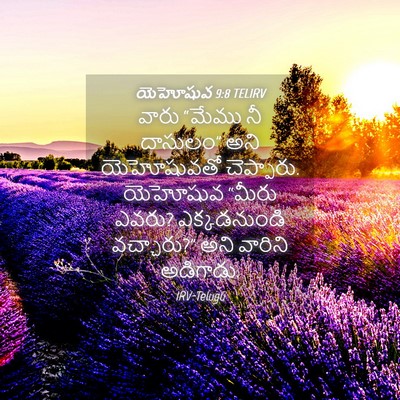 Picture 04 - యెహోషువ 9:8 TELIRV - వారు “మేము నీ - Bible Verse Picture