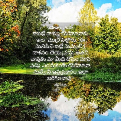 Picture 04 - యోనా 1:14 TELIRV - కాబట్టి వాళ్ళు - Bible Verse Picture