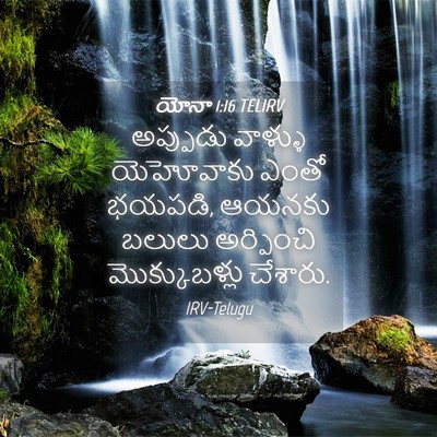 Picture 04 - యోనా 1:16 TELIRV - అప్పుడు వాళ్ళు - Bible Verse Picture