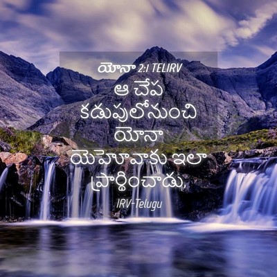 Picture 04 - యోనా 2:1 TELIRV - ఆ చేప - Bible Verse Picture