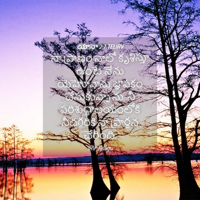 Picture 04 - యోనా 2:7 TELIRV - నా ప్రాణం నాలో - Bible Verse Picture