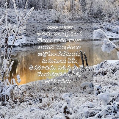 Picture 04 - యోనా 3:7 TELIRV - అతడు ఇలా ప్రకటన - Bible Verse Picture