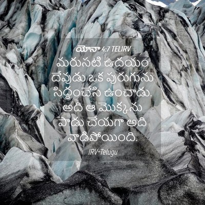 Picture 04 - యోనా 4:7 TELIRV - మరుసటి ఉదయం - Bible Verse Picture