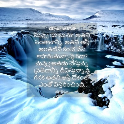 Picture 04 - యోబు 1:10 TELIRV - నువ్వు యోబునూ, - Bible Verse Picture