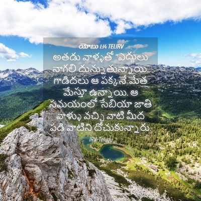 Picture 04 - యోబు 1:14 TELIRV - అతడు వాళ్ళతో - Bible Verse Picture