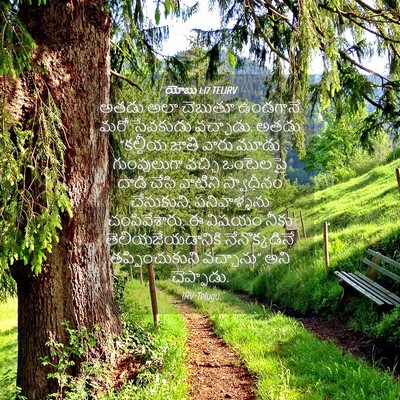 Picture 04 - యోబు 1:17 TELIRV - అతడు అలా చెబుతూ - Bible Verse Picture