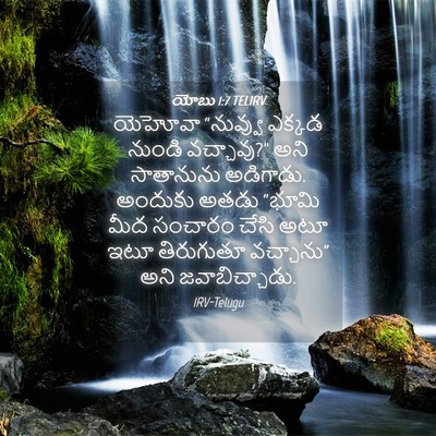 Picture 04 - యోబు 1:7 TELIRV - యెహోవా “నువ్వు - Bible Verse Picture