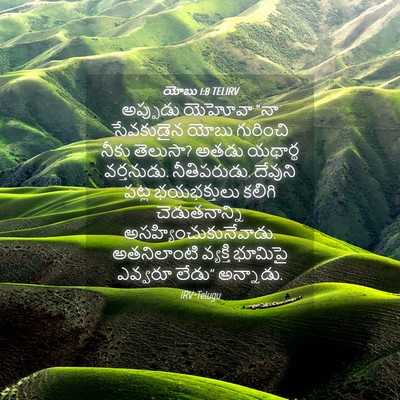 Picture 04 - యోబు 1:8 TELIRV - అప్పుడు యెహోవా - Bible Verse Picture