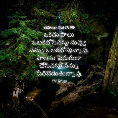 Picture 04 - యోబు 10:10 TELIRV - ఒకడు పాలు - Bible Verse Picture