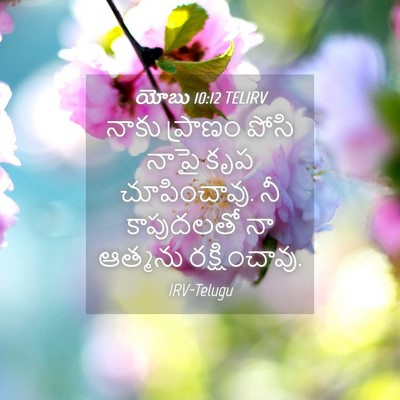 Picture 04 - యోబు 10:12 TELIRV - నాకు ప్రాణం పోసి - Bible Verse Picture