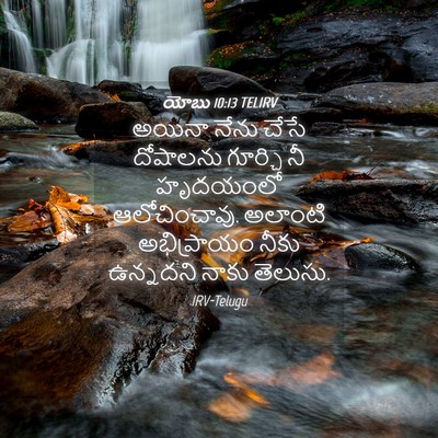Picture 04 - యోబు 10:13 TELIRV - అయినా నేను చేసే - Bible Verse Picture