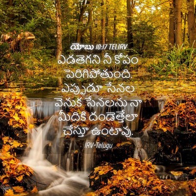 Picture 04 - యోబు 10:17 TELIRV - ఎడతెగని నీ కోపం - Bible Verse Picture