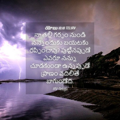 Picture 04 - యోబు 10:18 TELIRV - నా తల్లి గర్భం - Bible Verse Picture