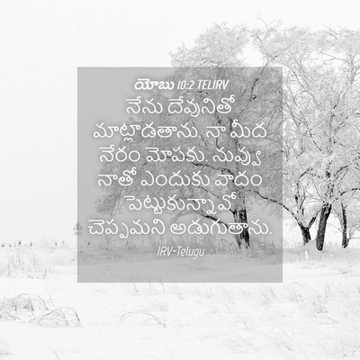 Picture 04 - యోబు 10:2 TELIRV - నేను దేవునితో - Bible Verse Picture
