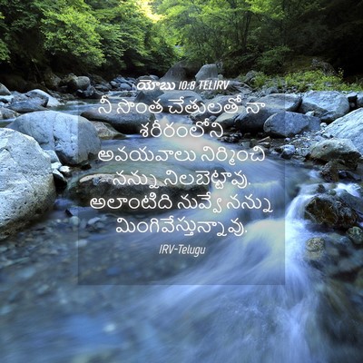 Picture 04 - యోబు 10:8 TELIRV - నీ సొంత చేతులతో నా - Bible Verse Picture