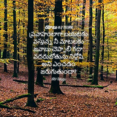 Picture 04 - యోబు 11:2 TELIRV - ప్రవాహంలాగా బయటకు - Bible Verse Picture