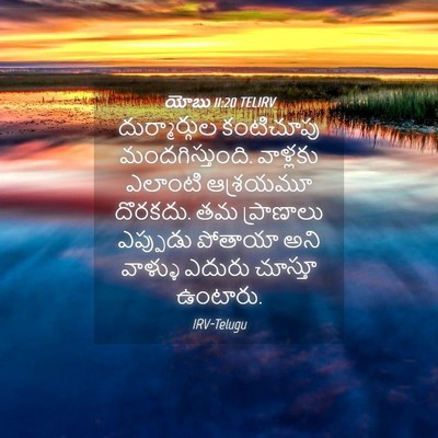 Picture 04 - యోబు 11:20 TELIRV - దుర్మార్గుల - Bible Verse Picture