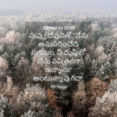 Picture 04 - యోబు 11:4 TELIRV - నువ్వు దేవునితో - Bible Verse Picture
