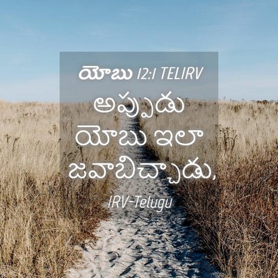 Picture 04 - యోబు 12:1 TELIRV - అప్పుడు యోబు ఇలా - Bible Verse Picture