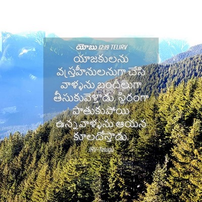Picture 04 - యోబు 12:19 TELIRV - యాజకులను - Bible Verse Picture