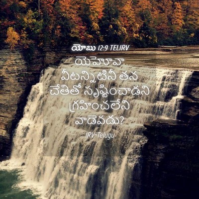 Picture 04 - యోబు 12:9 TELIRV - యెహోవా - Bible Verse Picture