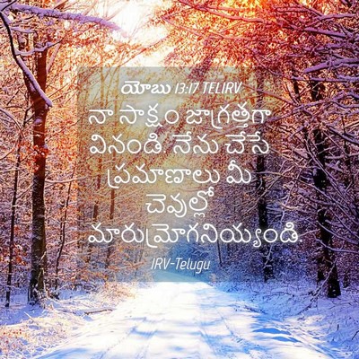 Picture 04 - యోబు 13:17 TELIRV - నా సాక్షం - Bible Verse Picture