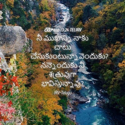 Picture 04 - యోబు 13:24 TELIRV - నీ ముఖాన్ని నాకు - Bible Verse Picture