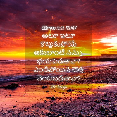 Picture 04 - యోబు 13:25 TELIRV - అటూ ఇటూ - Bible Verse Picture