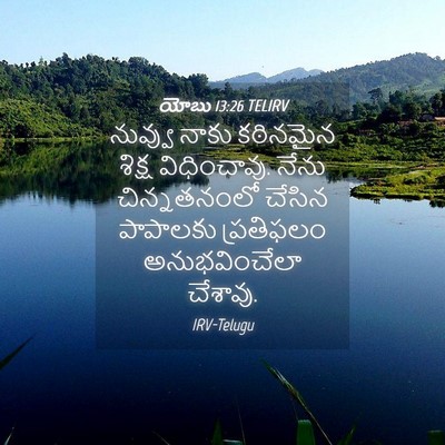 Picture 04 - యోబు 13:26 TELIRV - నువ్వు నాకు - Bible Verse Picture