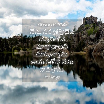 Picture 04 - యోబు 13:3 TELIRV - నేను సర్వశక్తుడైన - Bible Verse Picture