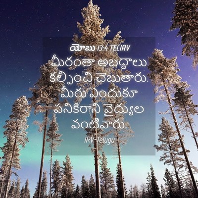 Picture 04 - యోబు 13:4 TELIRV - మీరంతా అబద్ధాలు - Bible Verse Picture