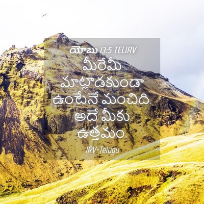 Picture 04 - యోబు 13:5 TELIRV - మీరేమీ - Bible Verse Picture