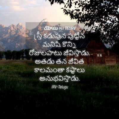 Picture 04 - యోబు 14:1 TELIRV - స్త్రీ కడుపున - Bible Verse Picture