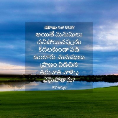 Picture 04 - యోబు 14:10 TELIRV - అయితే మనుషులు - Bible Verse Picture