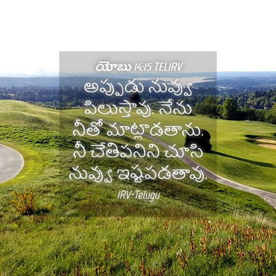 Picture 04 - యోబు 14:15 TELIRV - అప్పుడు నువ్వు - Bible Verse Picture