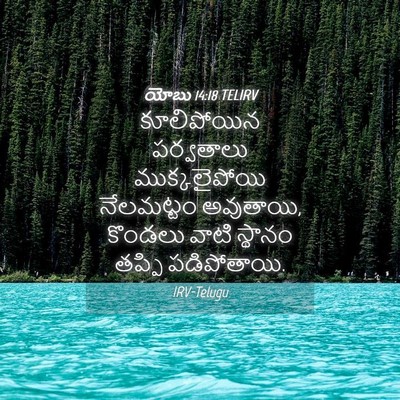 Picture 04 - యోబు 14:18 TELIRV - కూలిపోయిన - Bible Verse Picture
