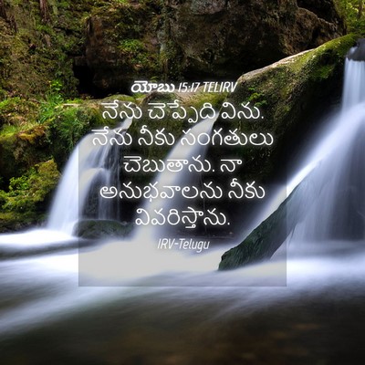 Picture 04 - యోబు 15:17 TELIRV - నేను చెప్పేది - Bible Verse Picture