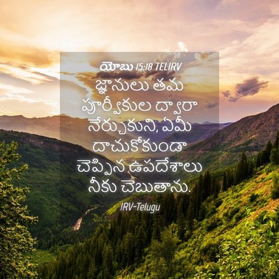 Picture 04 - యోబు 15:18 TELIRV - జ్ఞానులు తమ - Bible Verse Picture