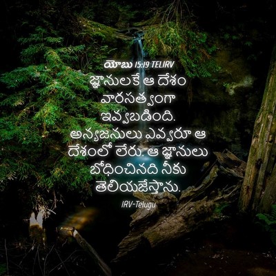 Picture 04 - యోబు 15:19 TELIRV - జ్ఞానులకే ఆ దేశం - Bible Verse Picture
